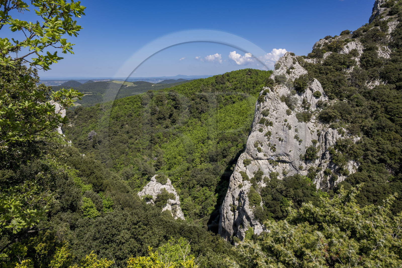 France, Vaucluse (84), Dentelles de Montmirail, Gigondas, le Pas de l'Aigle, faille encaissée entre deux montagnes au pied de la crête de Saint-Amand