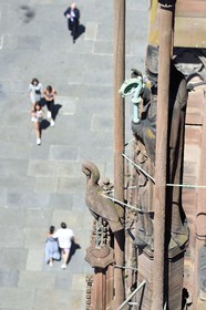 France, Bas-Rhin (67), Strasbourg, vieille ville classée au Patrimoine Mondial de l'UNESCO, la cathédrale Notre-Dame, la facade occidentale, une cigogne et un évèque surplombant la place