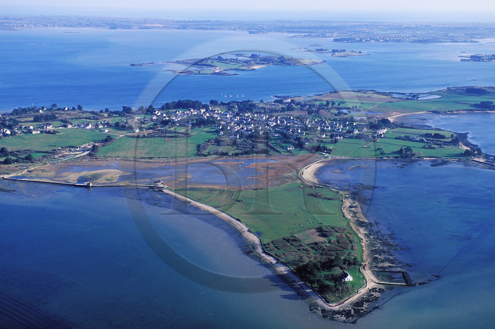 France, Morbihan, the Gulf of Morbihan, Ile d' Arz (aerial view)