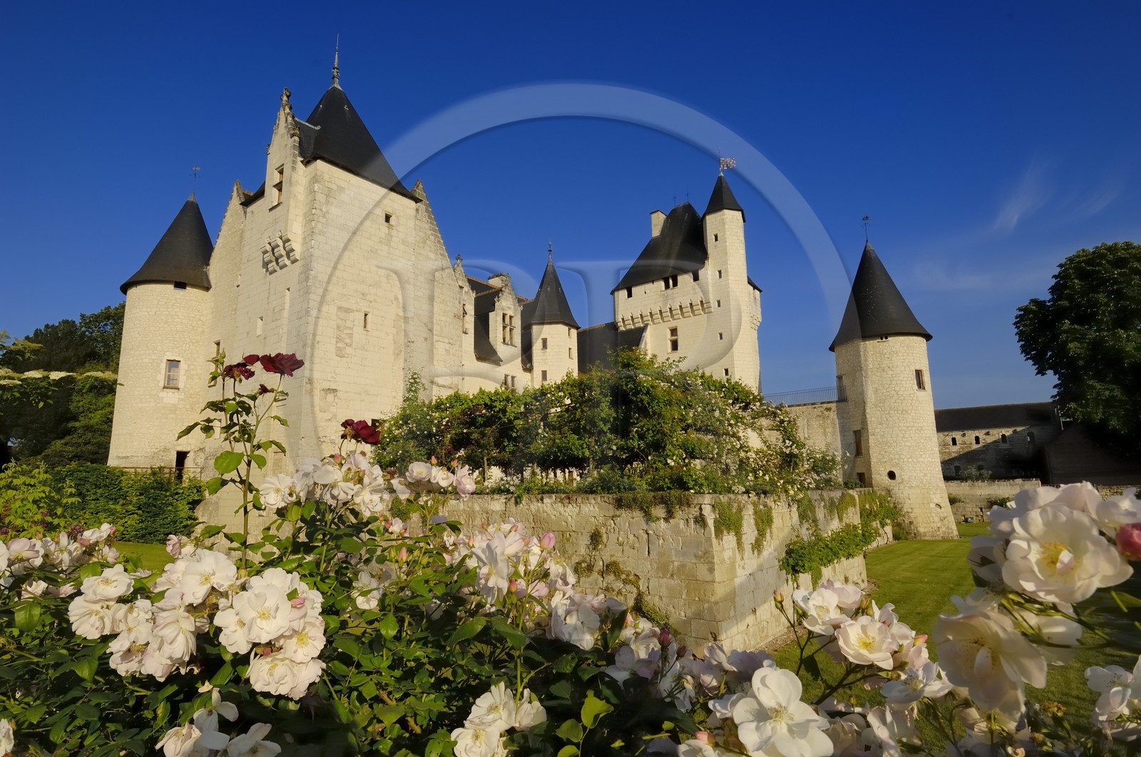 France, Indre et Loire, Chateau du Rivau