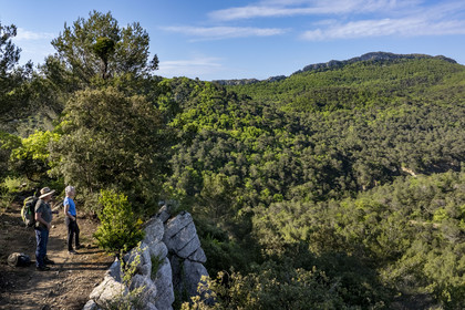 France, Vaucluse (84), Dentelles de Montmirail, Crestet, la crête de Saint-Amand vue du Sud depuis le GR de Pays vers la Croix de Verrière (vue aérienne)