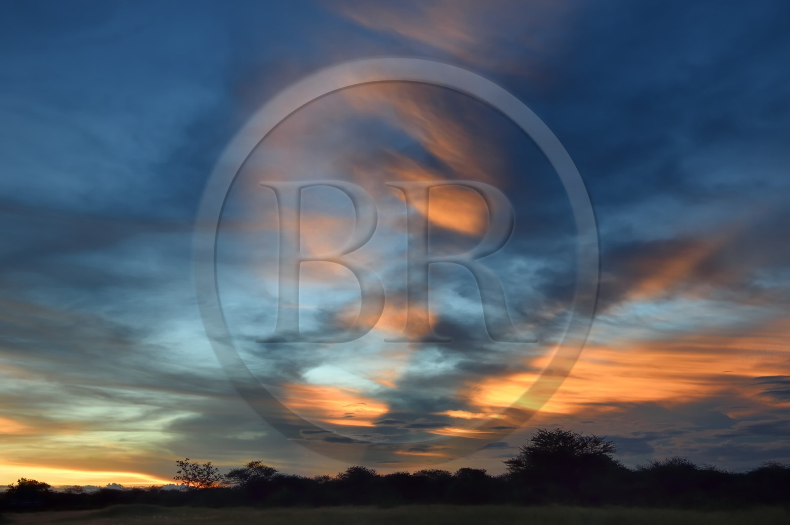 Namibie, région de Otjozondjupa, Otjiwarongo, coucher de soleil sur le bush
