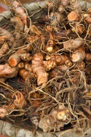 France, Ile de la Reunion, Saint-Joseph, Plaine des Gregues, racine de curcuma en vente au marché
