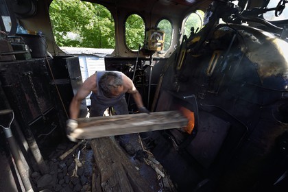 France, Alpes-Maritimes, Puget Theniers, the Train des Pignes historic train, steam engine warming up, loading wood in the fireplace that heats the boiler