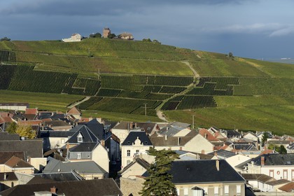 France, Marne (51), Parc Naturel Regional de la Montagne de Reims, Verzenay, vignobles de Champagne