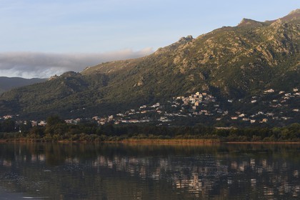 France, Haute-Corse (2B), Biguglia, les rives de l'étang de Biguglia (stagnu di Chjurlinu), réserve naturelle de Corse (RNC)