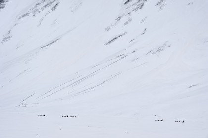 Norway, Svalbard, Spitzbergen, dog sledding in the Adventdalen valley near Longyearbyen