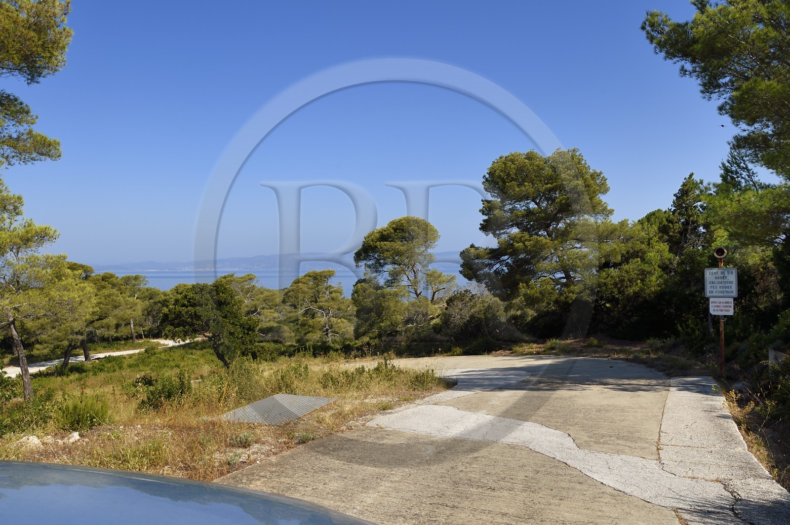 France, Var (83), Iles d'Hyères, Parc national de Port Cros, Ile du Levant, route dans la zone militaire