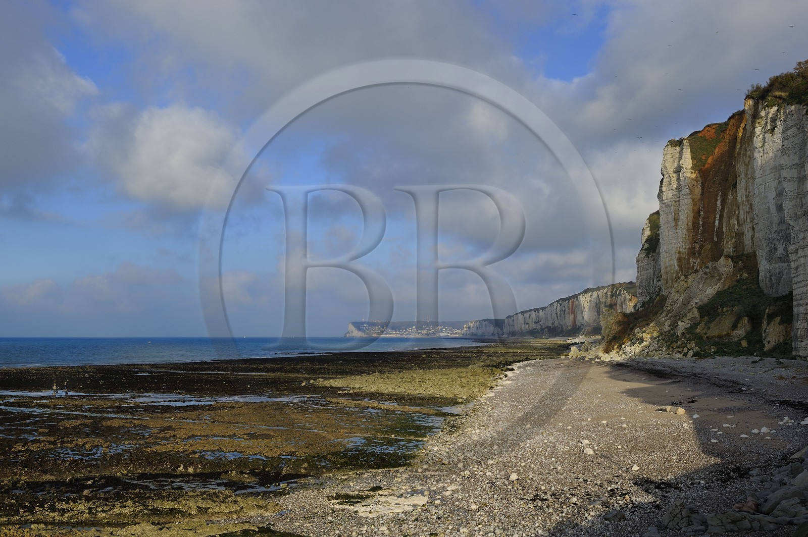 France, Seine-Maritime (76), Côte d'Albâtre, Yport, la plage au pied des falaises