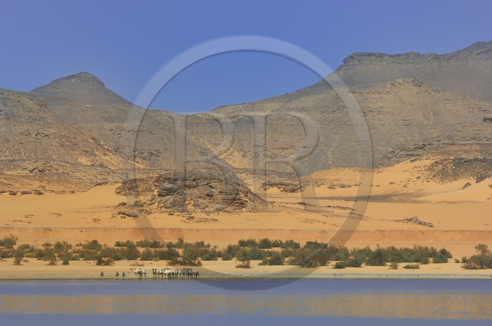 Egypt, Upper Egypt, Lake Nasser, Nubia desert, Wadi es-Sebua site or Valley of the Lions, the lake Nasser