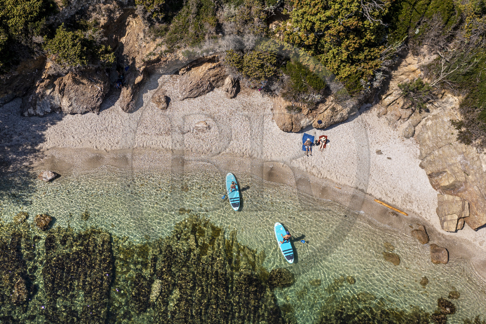 France, Var, Six Fours les Plages, Ile des Embiez, Coucoussa beach, Freestyle windsurfing champion Adrien Bosson on a paddle boarding excursion (aerial view)