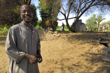 Egypt, Upper Egypt, Nubia, Nile Valley, Aswan, west bank, well in the nubian countryside