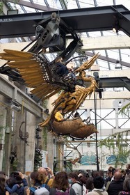 France, Loire-Atlantique, Nantes, gallery of the Machines de l'Ile in the hangars of former shipyards, an artistic project created by François Delaroziere and Pierre Orefice, the Mechanical Heron in flight