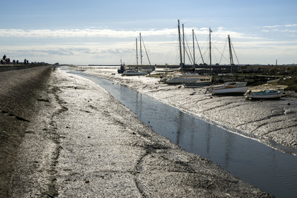 France, Vendée (85), Ile de Noirmoutier, Noirmoutier-en-l'Ile, port d'échouage dans l'Etier du Moulin et le canal longeant la chaussée Jacobsen