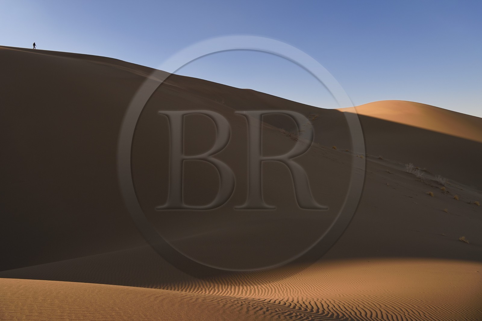 Iran, Province de Yazd, désert du Dasht-e Kavir, Moghestan, randonnée dans le massif dunaire dont la plus haute dune atteint les 200 mètres