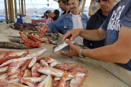 Grèce, Les Cyclades, mer Égée, île de Mykonos, Chora (Mykonos town), marché aux poissons sur le port