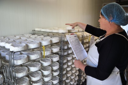 France, Orne (61), Pays d'Auge, village de Camembert, Ferme de la Héronnière, AOC Camembert au lait cru, maturation et affinage du camembert fermier dans le hâloir