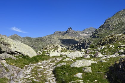 France, Alpes-Maritimes, parc national du Mercantour (Mercantour National Park), the Vallee des Merveilles (Valley of Wonders) scattered with thousands of rupestral engravings of the Bronze Age, the track that leads to the Merveilles refuge at the foot of Mont Bego (2872m) right, the Mont des Merveilles (2720m) in the background