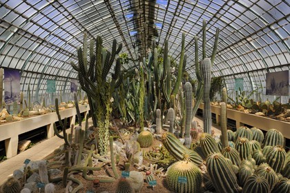 France, Paris (75),  Jardin des Serres d'Auteuil, serre des plantes succulentes
