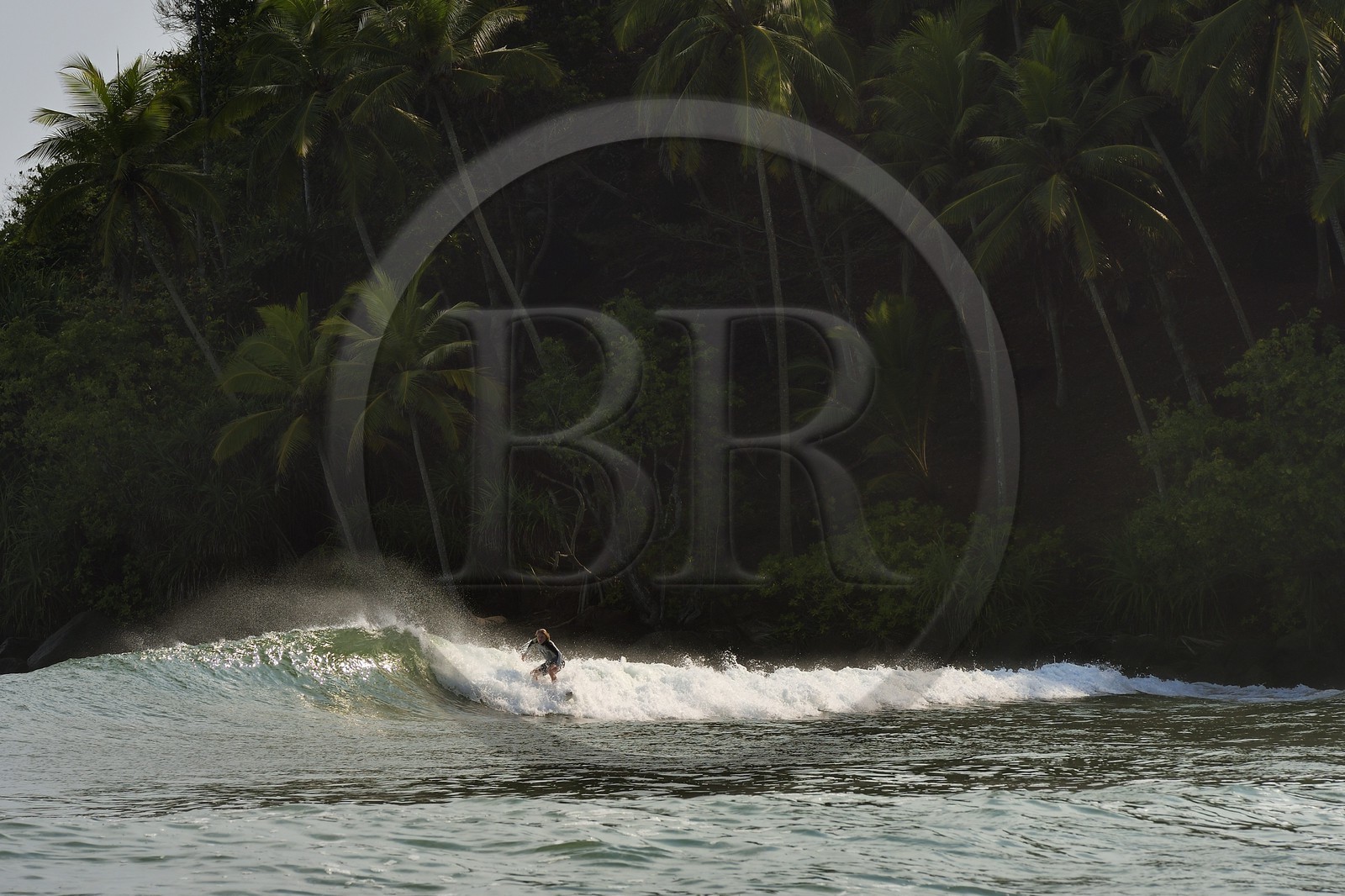 Sri Lanka, Province du Sud, Matara (district), Weligama, plage de Mirissa, surfeur