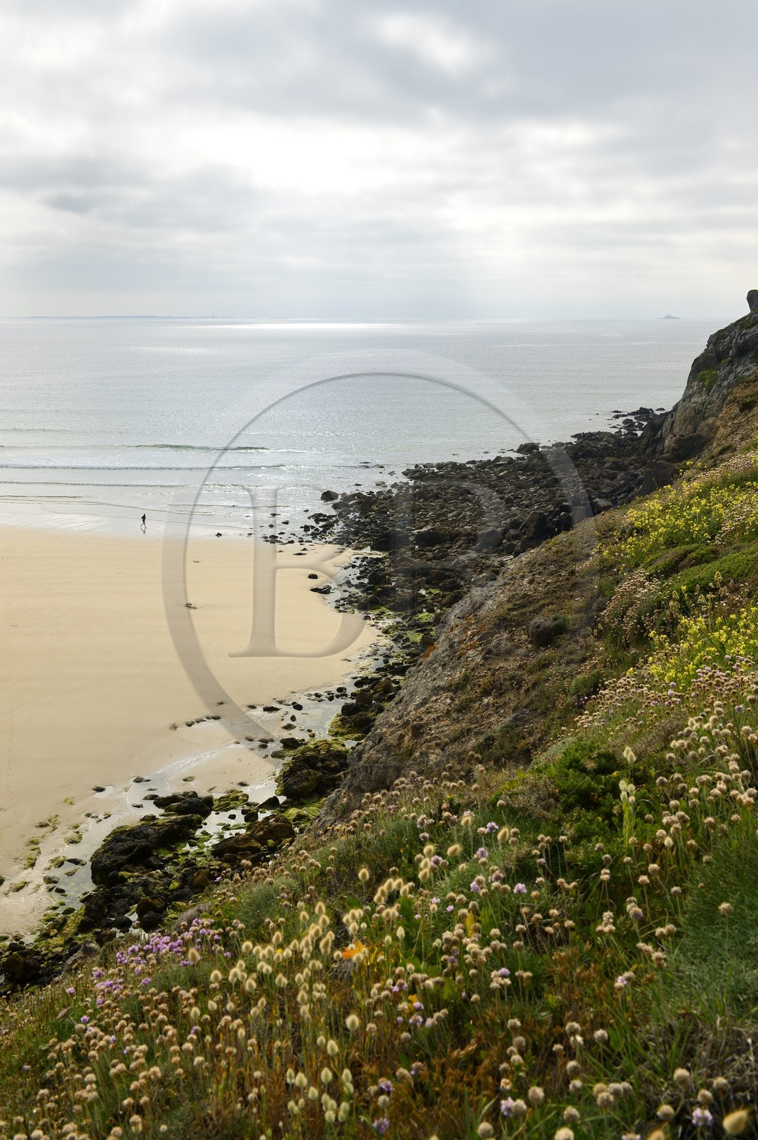 France, Finistère (29),  Mer d'Iroise, Plogoff, plage de la baie des Trépassés