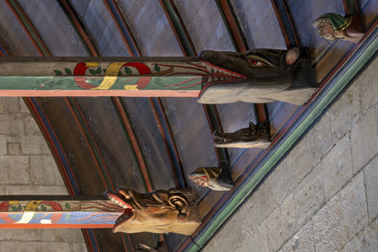 France, Côte-d'Or (21), Beaune, zone classée Patrimoine Mondial de l'UNESCO, Hospices de Beaune, l'Hôtel-Dieu, la Grande salle des Pôvres, charpente en lambris de chêne en berceau brisé et Poutres avec des engoulants