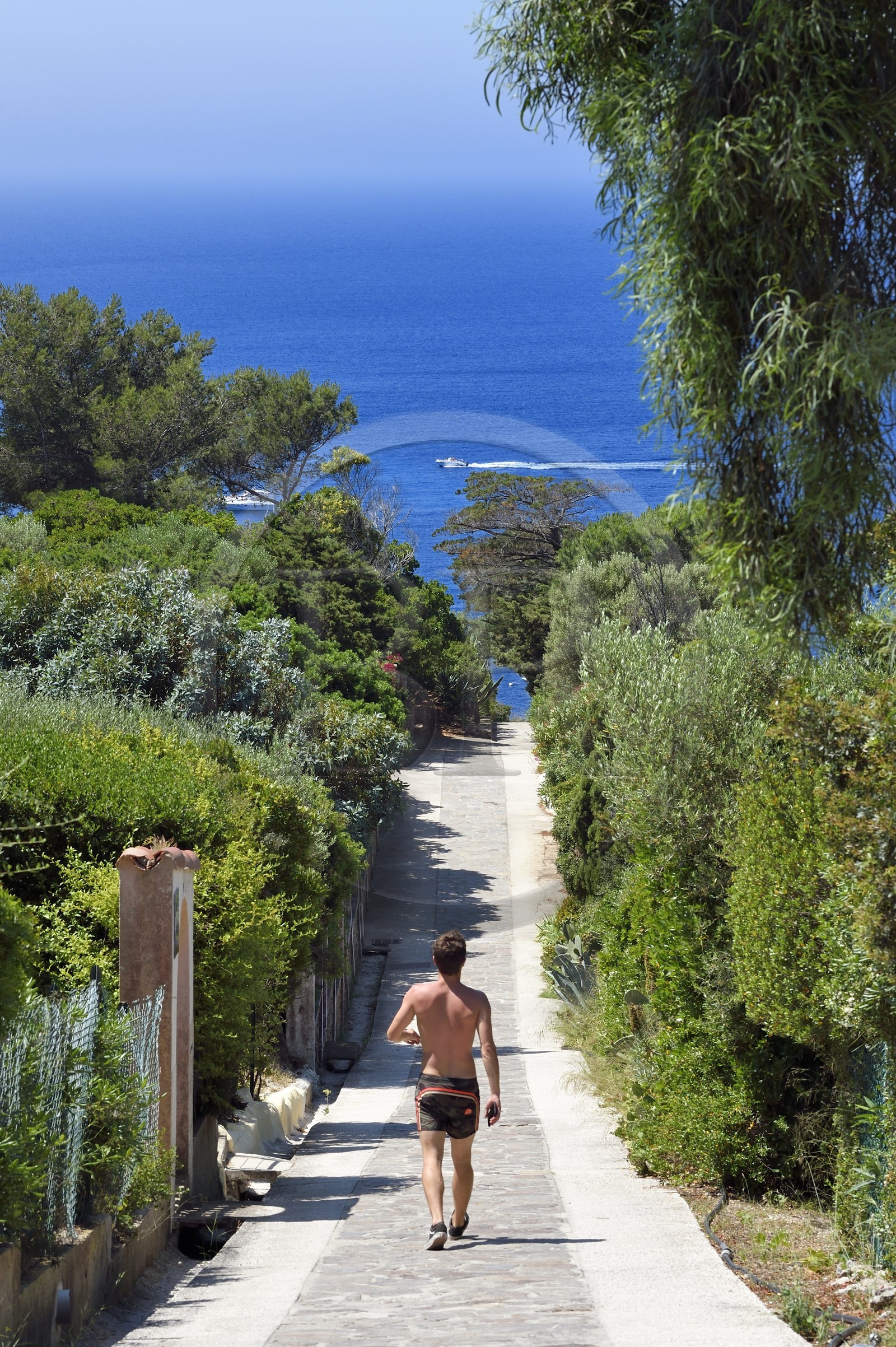 France, Var (83), Iles d'Hyères, Parc national de Port Cros, Ile du Levant, domaine naturiste d'Héliopolis, chemin de la Perspective, l'axe central du village