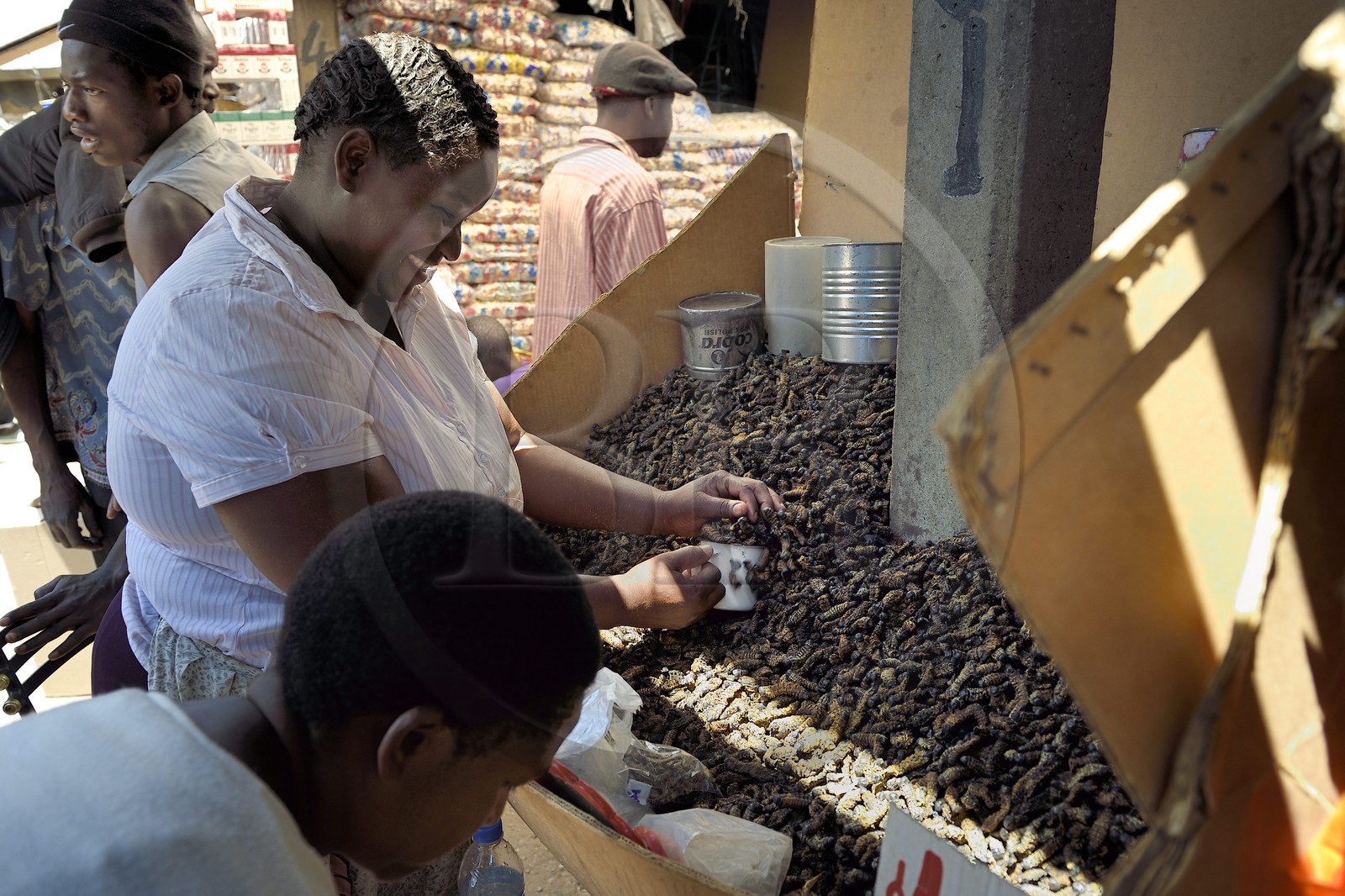 Zimbabwe, Harare, marché de Mbare