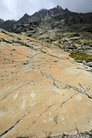 France, Alpes-Maritimes, parc national du Mercantour (Mercantour National Park), the Vallee des Merveilles (Valley of Wonders) scattered with thousands of rupestral engravings of the Bronze Age, schist flagstone at the foot of Mount Bego called the Rock of the Altar, it's engraved with hornlike figures, daggers, linear incisions and even stars which is unusual