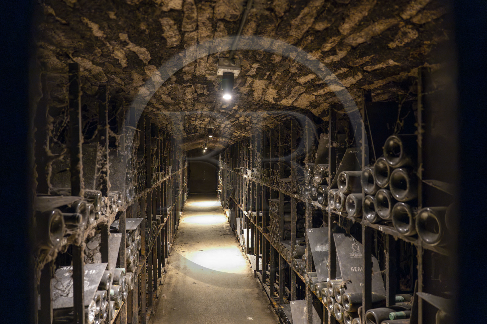 France, Côte-d'Or (21), les climats de Bourgogne classés Patrimoine Mondial de l'UNESCO, Beaune, les caves de la Maison Patriarche, société viticole de négociant-éleveur