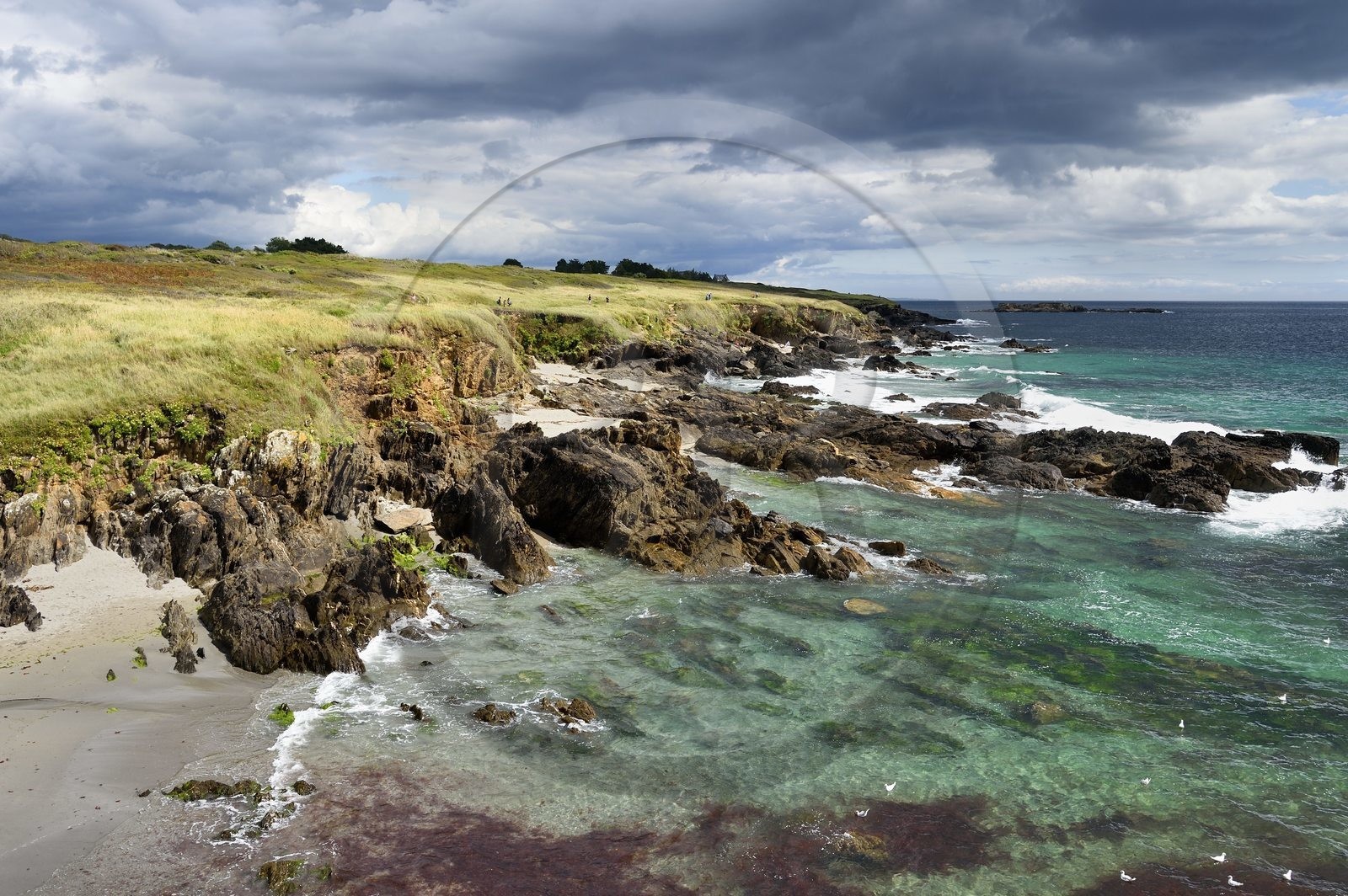 France, Finistère (29), Moelan-sur-Mer, le littoral entre Kerfany les Pins et la plage de Trenez sur le chemin de Grande Randonnée GR 34 ou sentier des douaniers