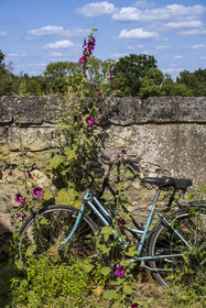 France, Maine-et-Loire, Loire valley listed as World Heritage by UNESCO, Gennes-Val-de-Loire, bookstore-café L'Idiot of the association Gabare And Co in the former school of the Girls of Chênehutte, bicycle against a wall