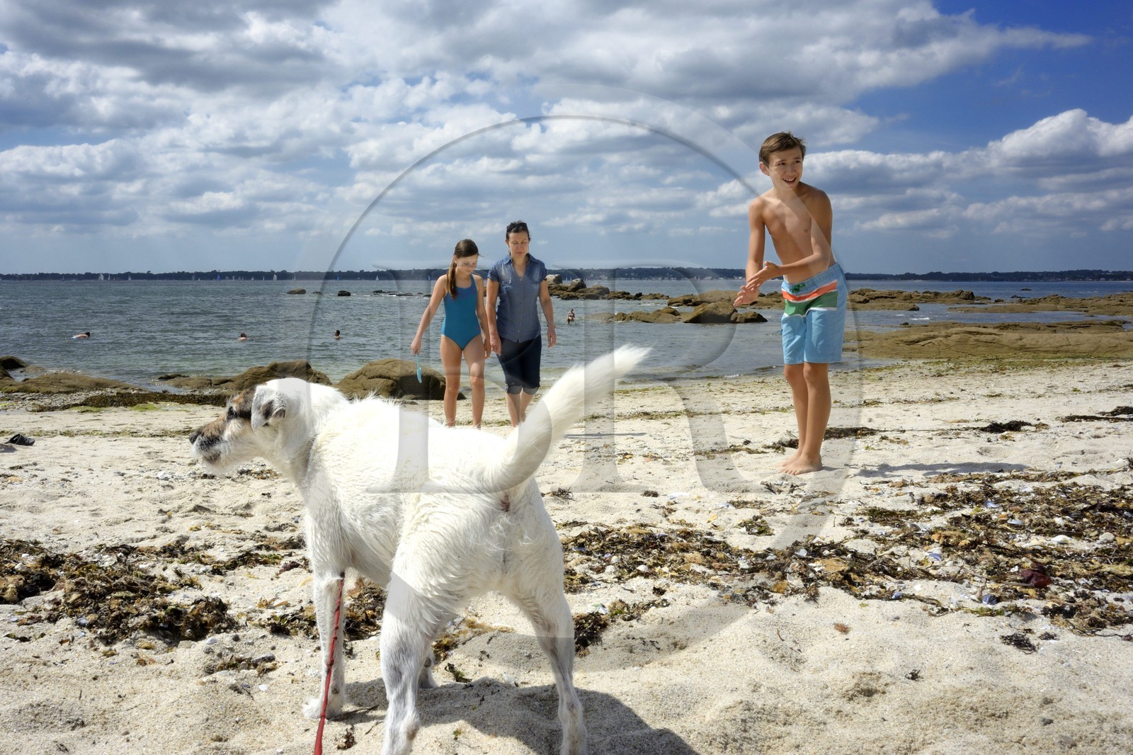 France, Finistère (29), Concarneau, plage de la Corniche