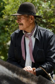 Argentine, province de Buenos Aires, San Antonio de Areco, gaucho à la fête du Jour de la Tradition (Dia de la Tradicion)