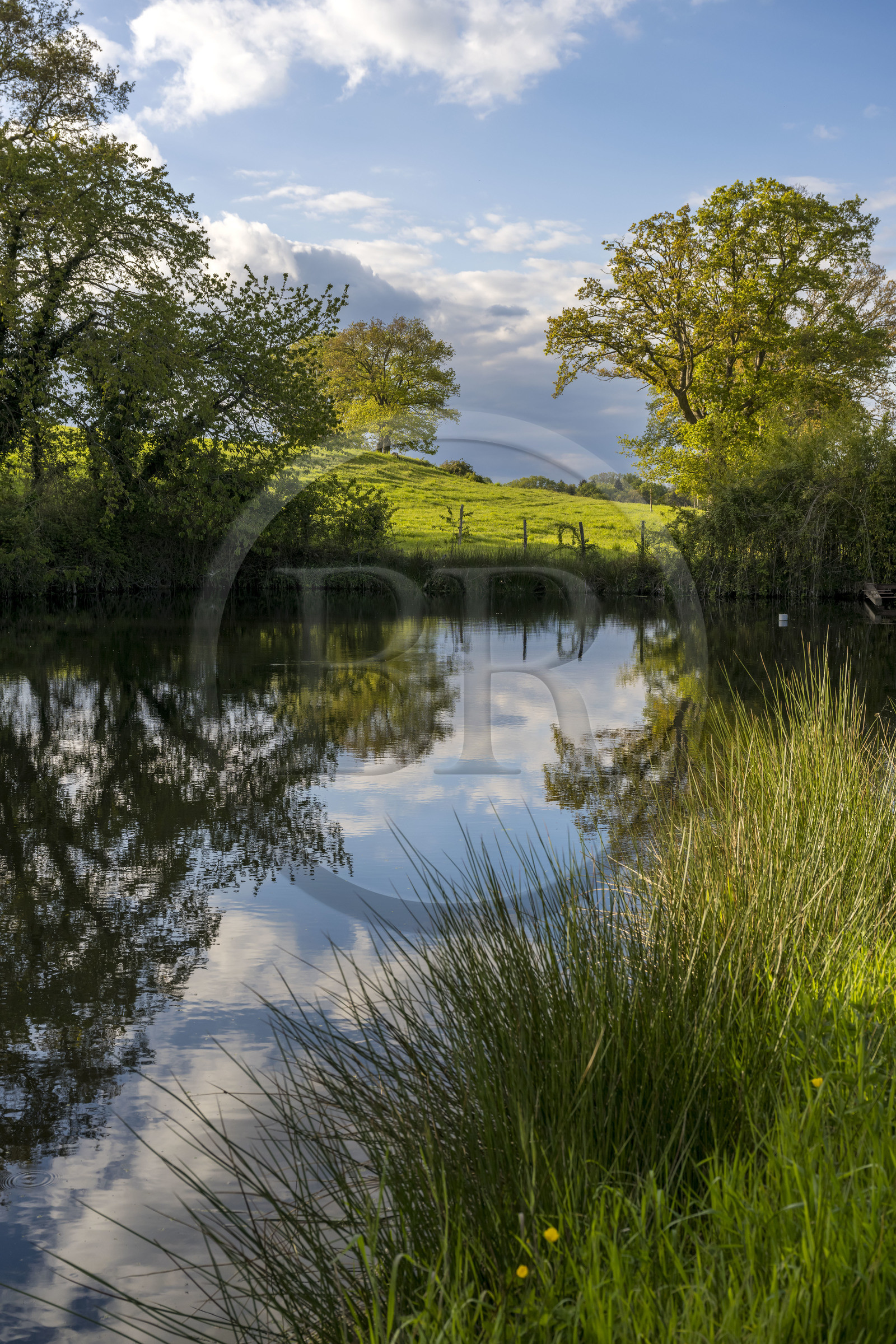 France, Vendee, Saint-Aubin-des-Ormeaux, pond and meadows