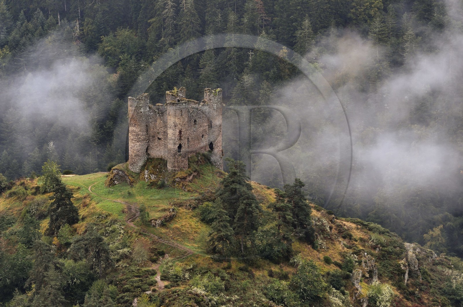 France, Cantal (15), Gorges de la Truyère, Alleuze, ruines féodales perchées du château fort d'Alleuze du XIIIe siècle reconstruit en 1405