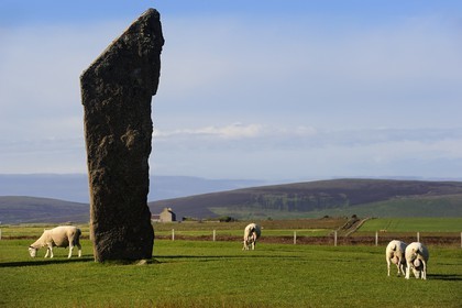 Royaume-Uni, Ecosse, Iles Orcades, Ile de Mainland, Loch of Stenness, pierres levées de Stenness, classées Patrimoine Mondial de l' UNESCO