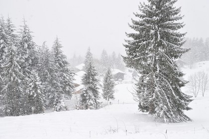 France, Haute-Savoie (74), station de ski Les Carroz d'Arâches, village d'Arâches-la-Frasse