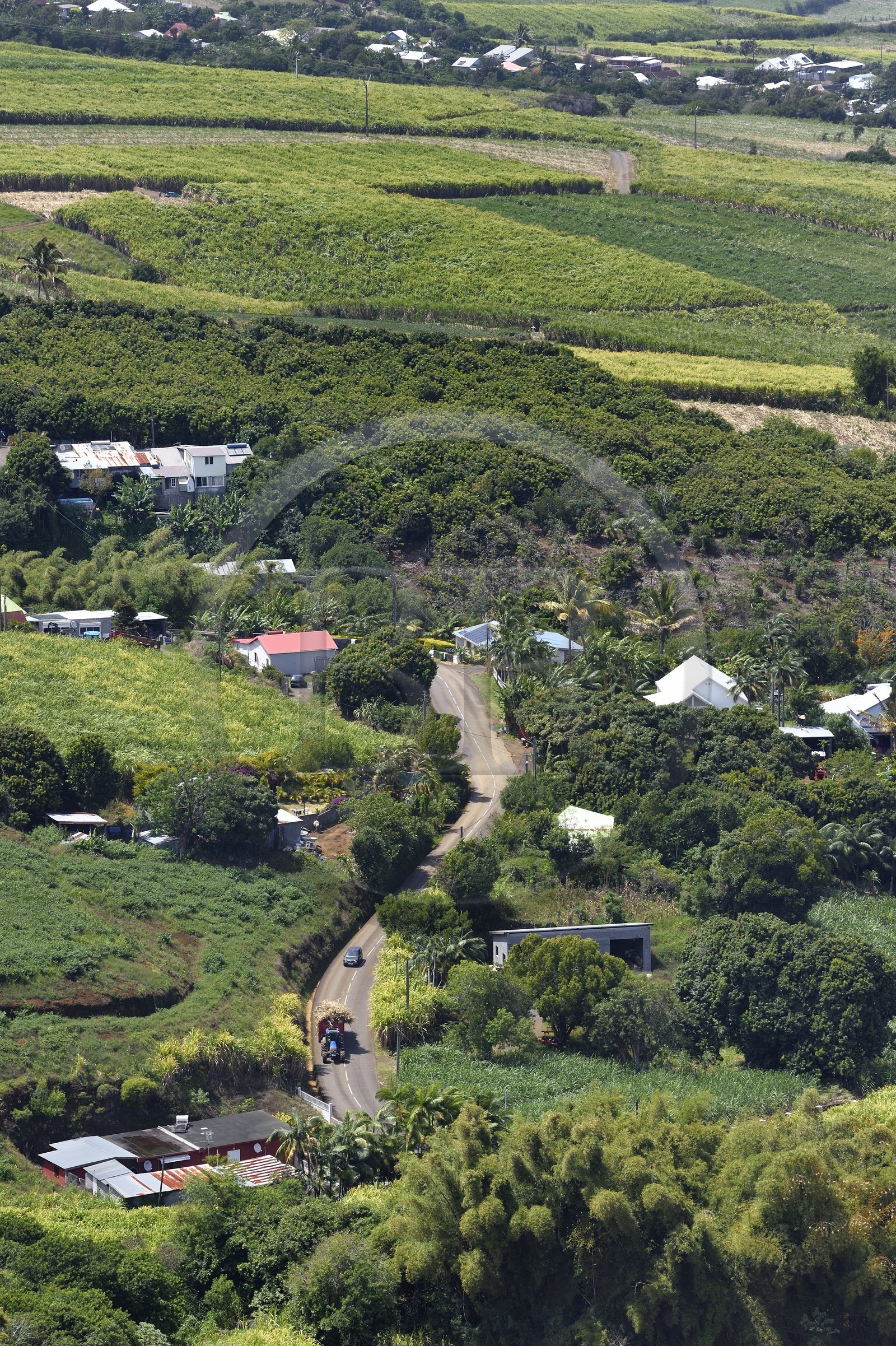 France, Ile de la Reunion, Petite Ile, champs de cannes à sucre vers Anse-les Bas vus depuis le piton de Mont Vert