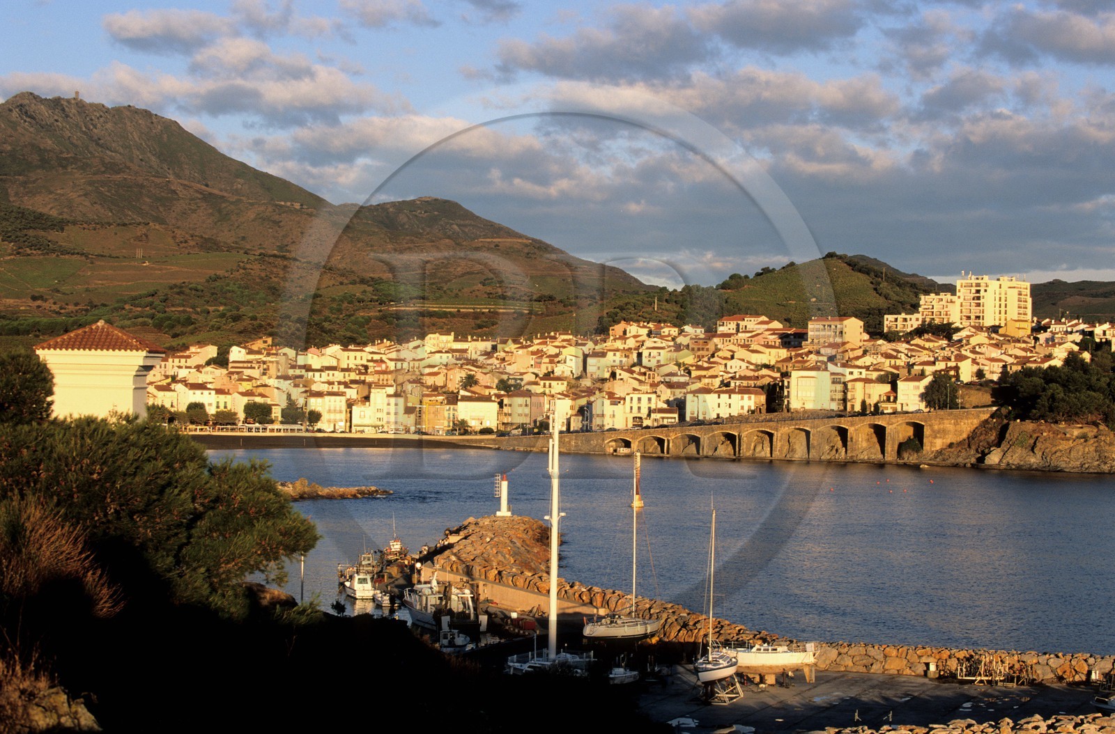 France, Pyrénées-Orientales (66), Banyuls-sur-Mer et ses vignobles sur la côte Vermeille