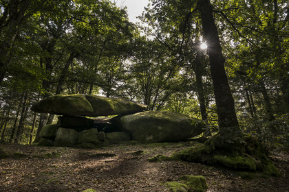 France, Nièvre (58), Parc naturel régional du Morvan, Dun-les-Places, lieu dit Dolmen de Chevresse, chaos granitique formé par l’érosion, dans la forêt de Breuil-Chenue