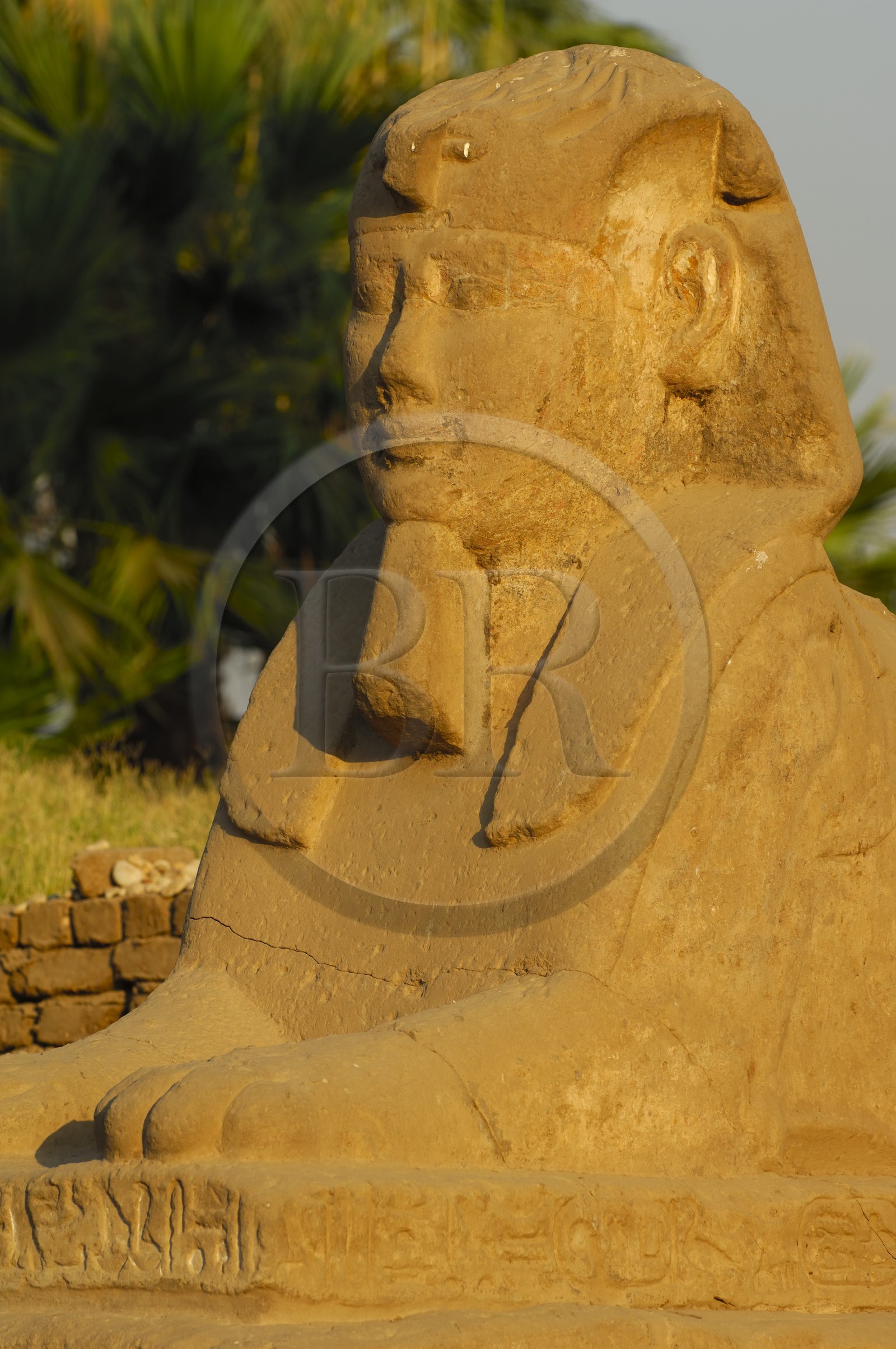Egypte, Haute Egypte, vallée du Nil, temple de Louxor classé Patrimoine Mondial de l'UNESCO, le Dromos