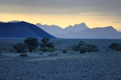 Namibie, région d'Hardap, désert du Namib, parc national du Namib-Naukluft, Erg du Namib classé Patrimoine Mondial de l'UNESCO, Sossusvlei à l'aube