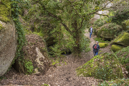 France, Côtes-d'Armor (22), Côte de Granit Rose, Trégastel, vallée des Grands Traouiero, sentier de randonnée évoluant dans le chaos de gros rochers granitiques