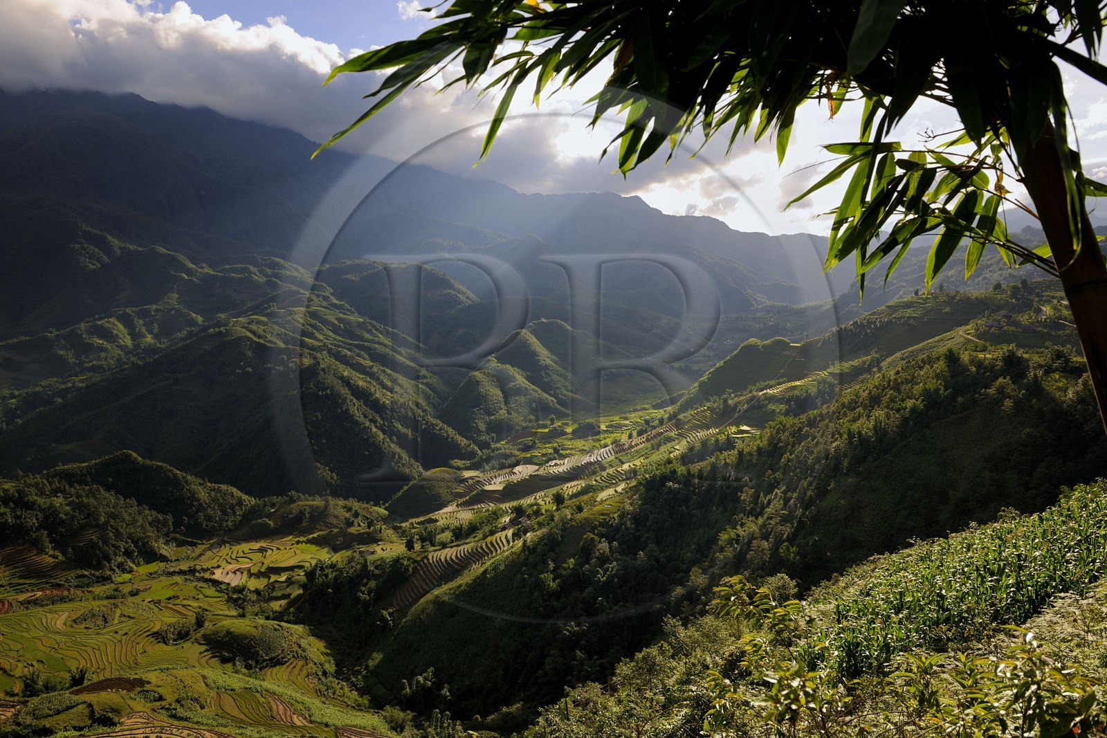 Vietnam, Lao Cai province, Sapa district, the Black Hmong minority group