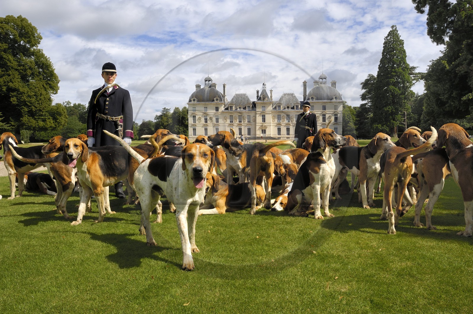 France, Loir-et-Cher (41), château de Cheverny, les piqueux Vol au Vent et La Rosée qui gèrent la meute de 90 chiens de chasse à cour