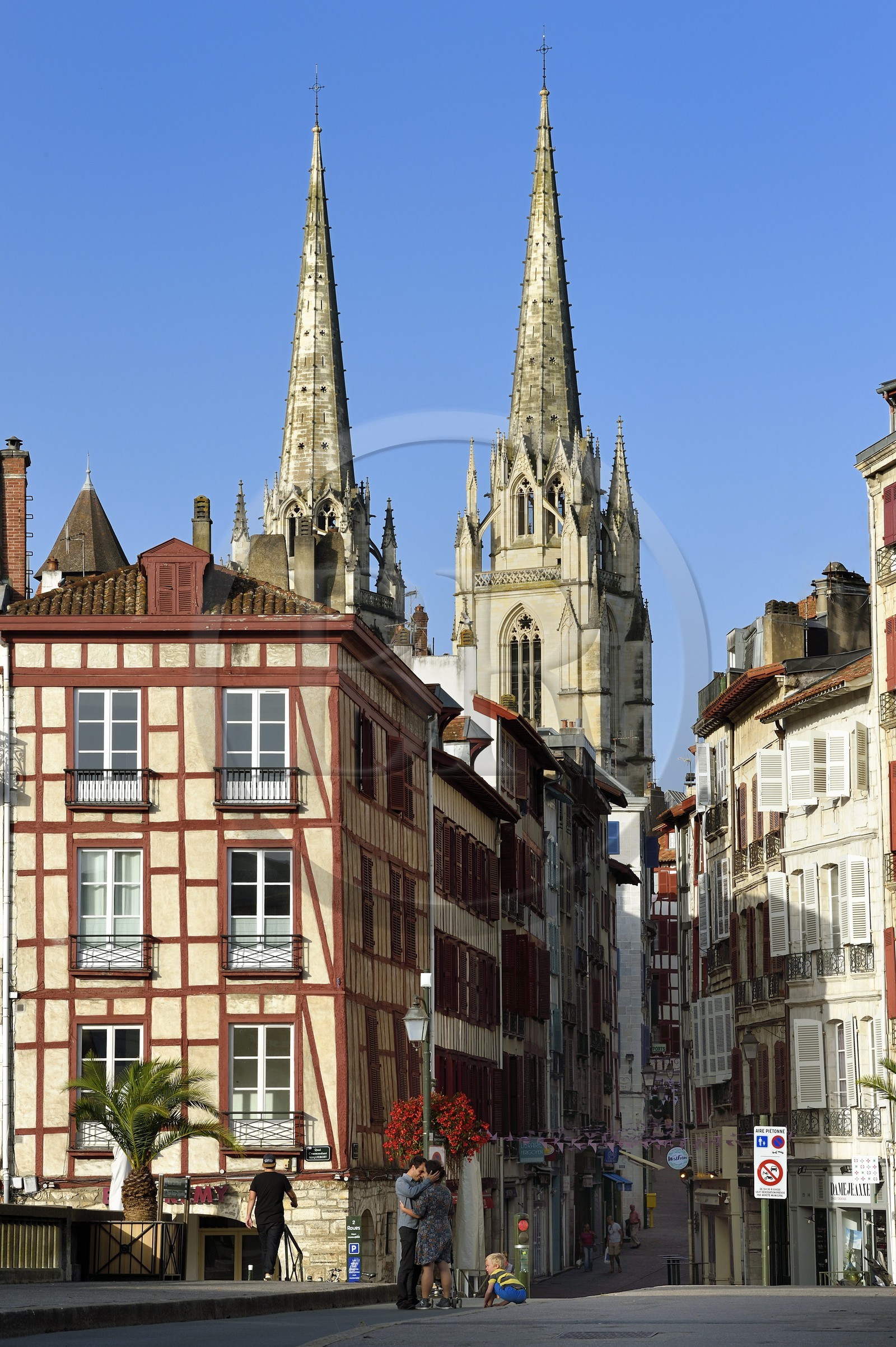 France, Pyrénées-Atlantiques (64), Pays-Basque, Bayonne, maisons traditionnelles des quais de la Nive et les flèches de la cathédrale Sainte-Catherine vues du pont Marengo