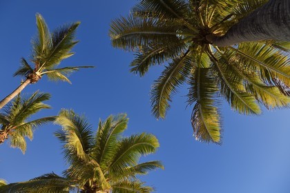 France, Ile de la Reunion, Petite-Ile sur la côte sud, plage de Grand-Anse