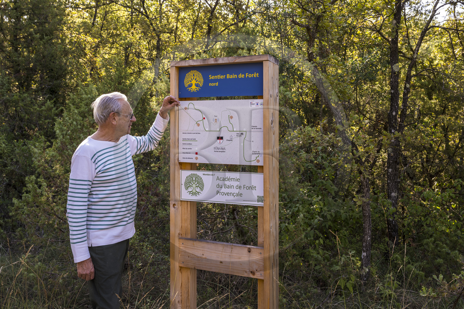 France, Var (83), Provence Verte, Bras, Académie du Bain de Forêt Provençale, forêt du domaine Le Peyrourier - une campagne en Provence