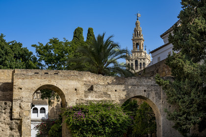 Spain, Andalusia, Seville, the Alcazar of Seville (Reales Alcazares de Sevilla), listed as World Heritage by UNESCO, and the Giralda in the background